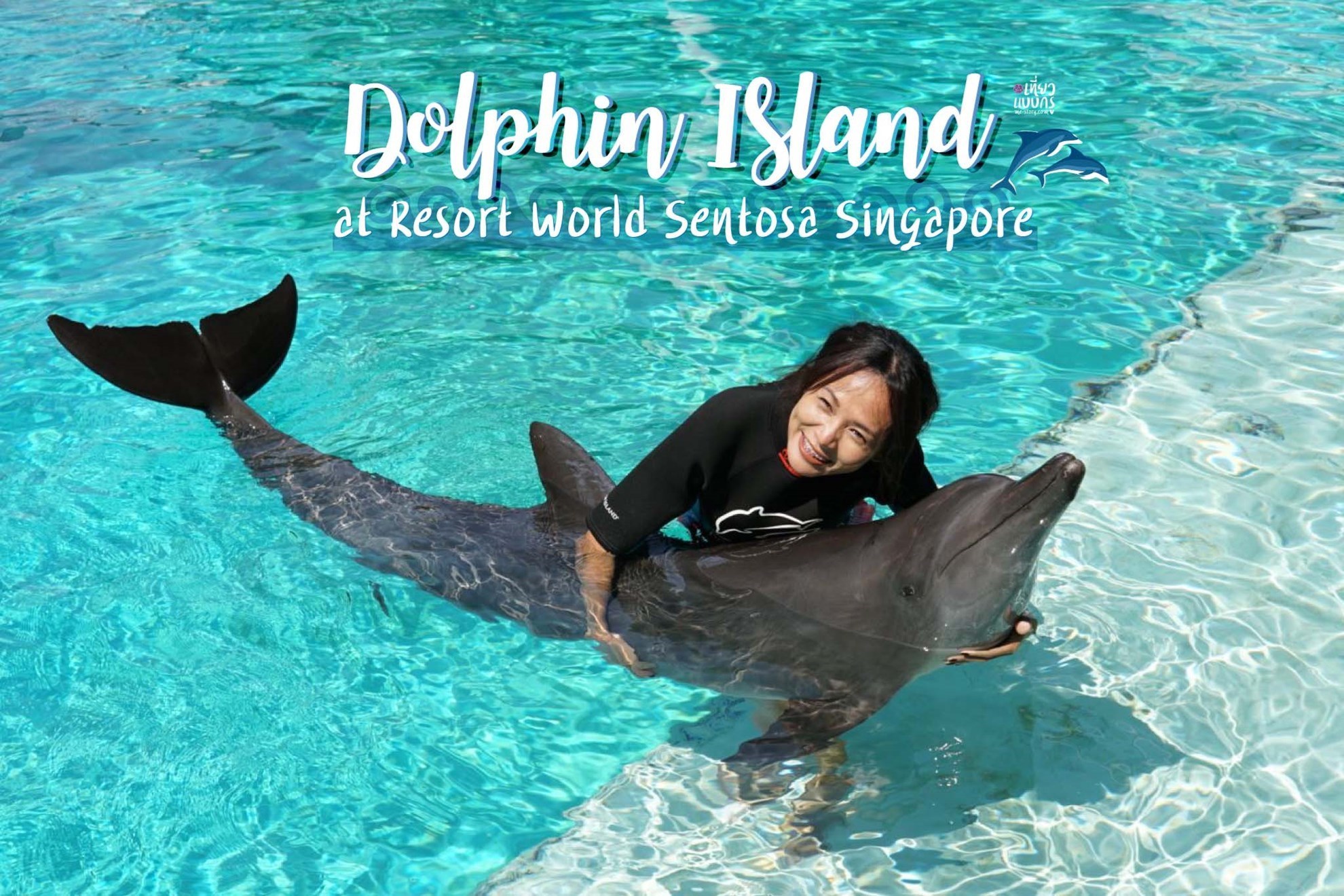 Vé Dolphin Island + S.E.A Aquarium