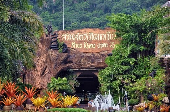 Vé Khao Kheow Open Zoo Pattaya