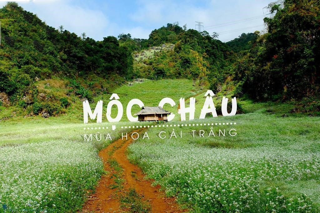 Tour Mộc Châu 2 ngày