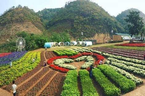 Tour Mộc Châu 2 ngày