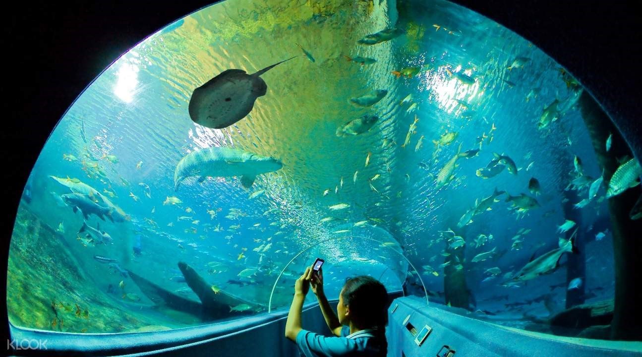 Vé Chiang Mai Zoo Aquarium
