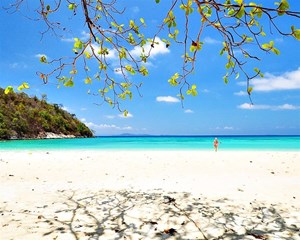 Hình của Tour tham quan  đảo Coral bằng thuyền máy