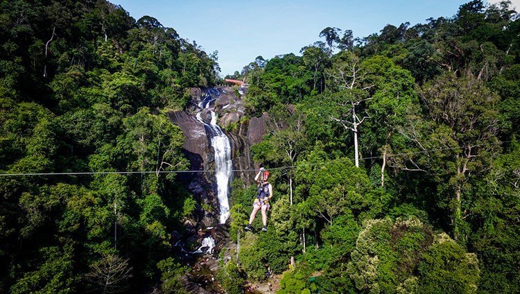 Khám phá rừng xanh Langkawi bằng zipline