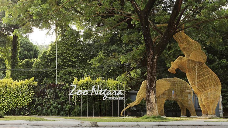 Vé Zoo Negara Malaysia