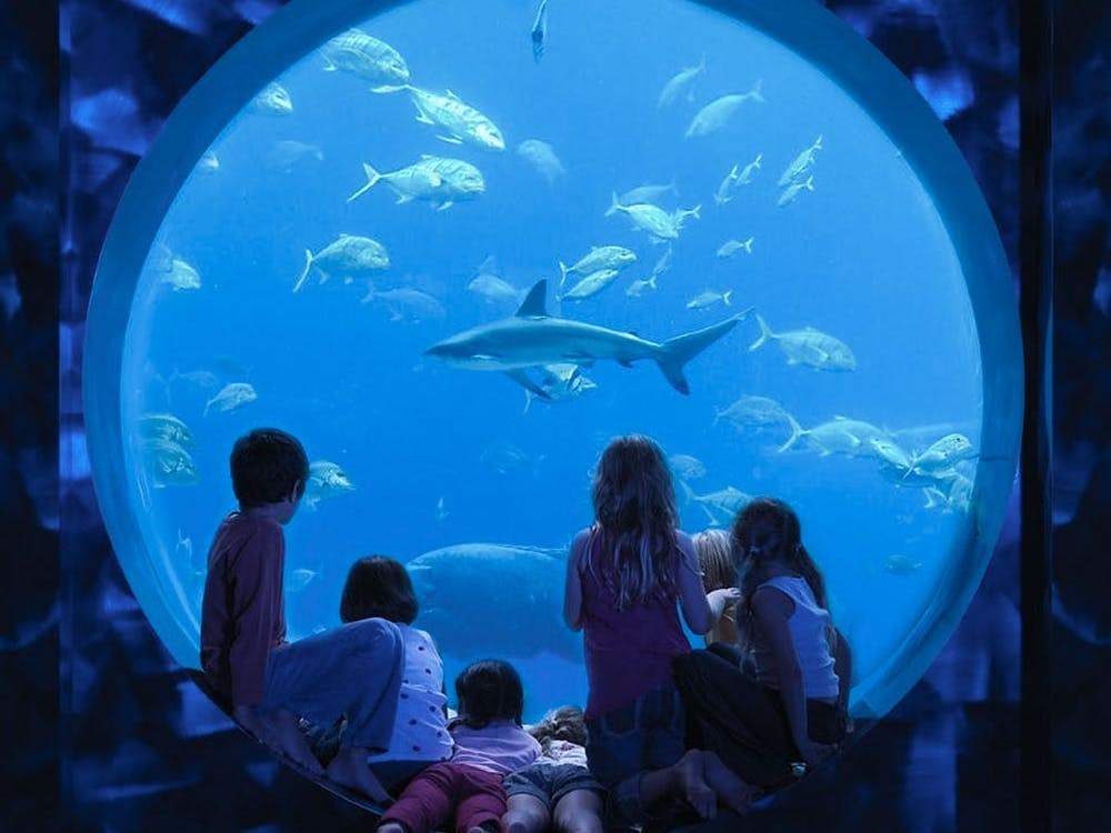 Thủy cung The Lost Chambers Aquarium