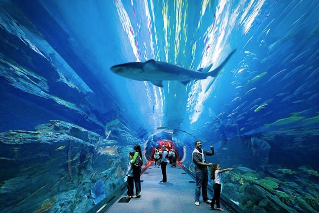 Thủy cung The Lost Chambers Aquarium