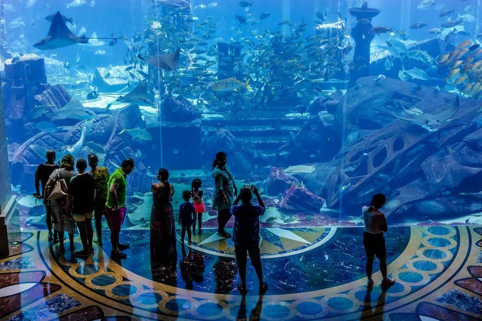 Thủy cung The Lost Chambers Aquarium