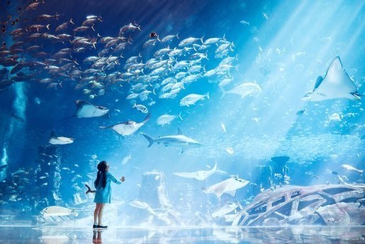 Thủy cung The Lost Chambers Aquarium