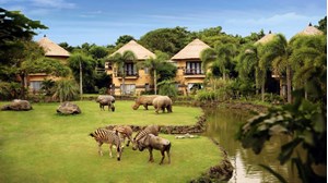 Vé Bali Safari & Marine Park