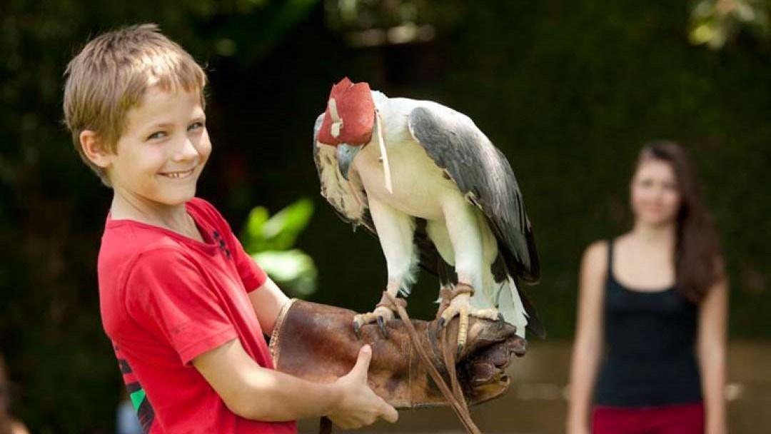 Vé Bali Bird Park