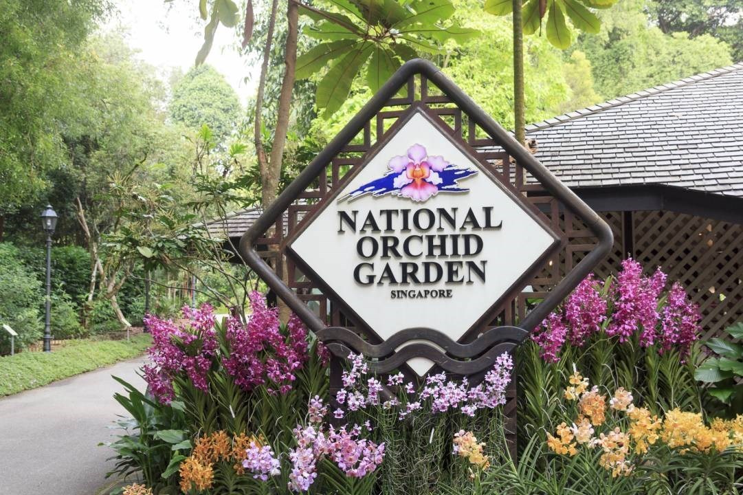 Vé National Orchid Garden