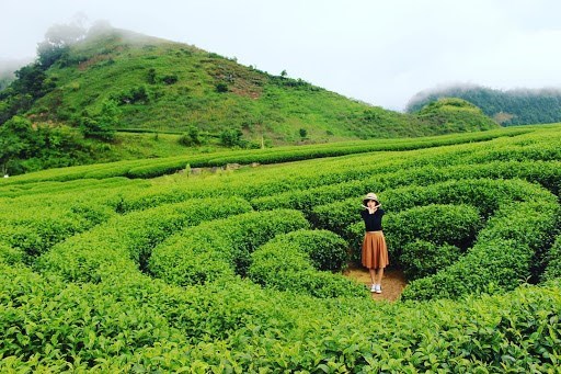 Tour Mai Châu - Mộc Châu 2 ngày
