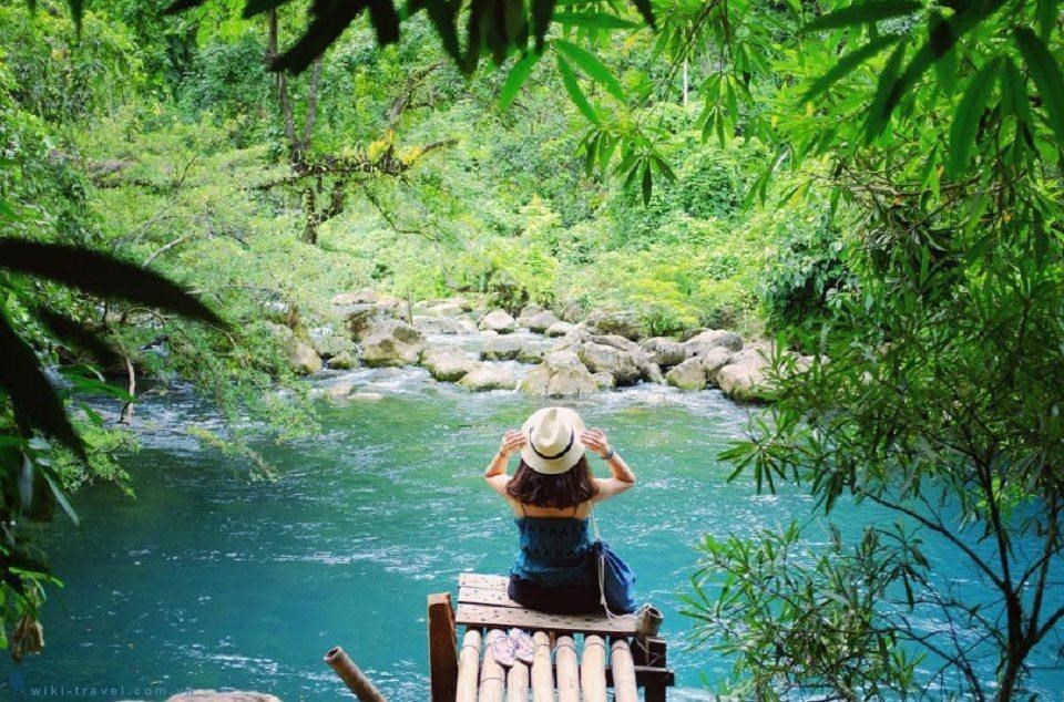 Tour Động Phong Nha – Suối Nước Moọc (1 ngày)