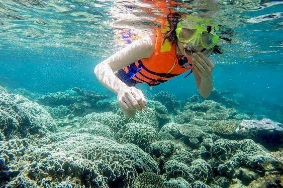 Tour Hòn Khô – Lặn ngắm san hô 1/2 ngày