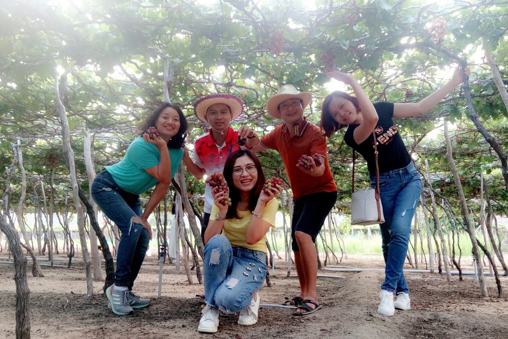 Tour Đồng Cừu - Hang rái  – Vĩnh Hy