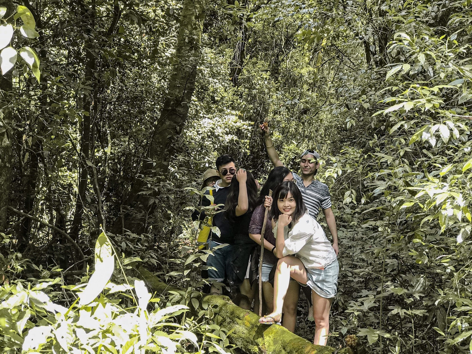 Tour Trekking và Chèo SUP trên Hồ Tuyền Lâm