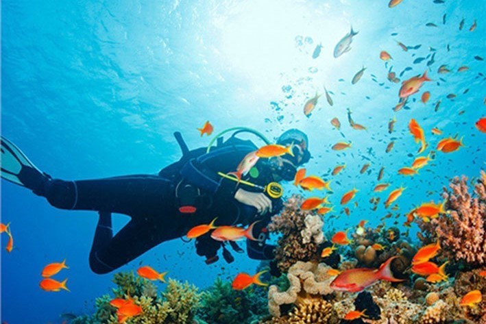 Tour Lặn Đêm Nha Trang