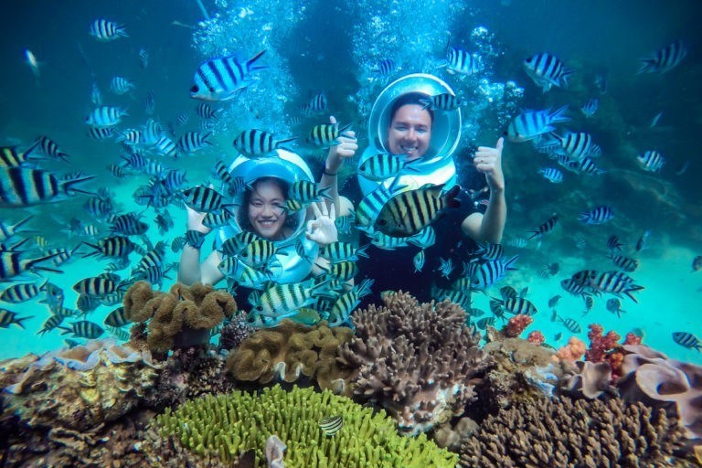 Tour lặn mũ và câu mực đêm