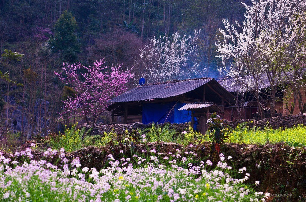 Tour Hà Nội - Hà Giang (3N2Đ)