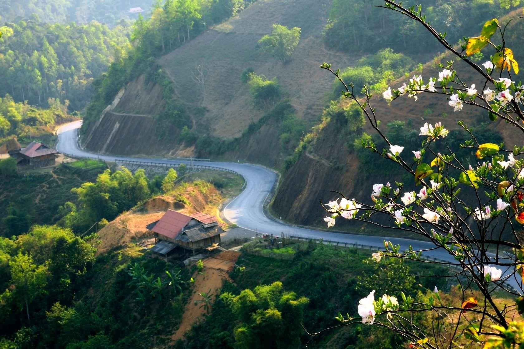 Mộc Châu - Sơn La - Điện Biên (3N2Đ)