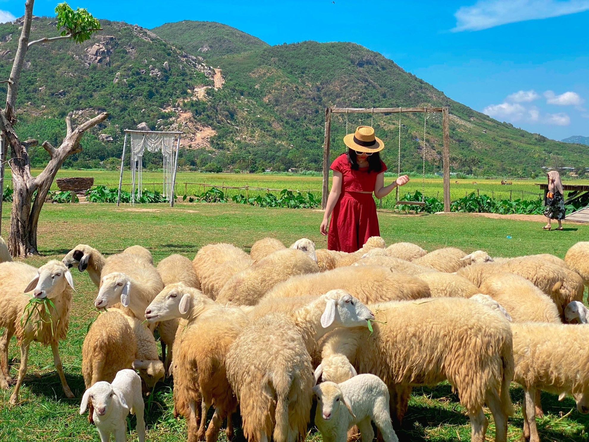 Tour Đồng Cừu - Hang rái  – Vĩnh Hy