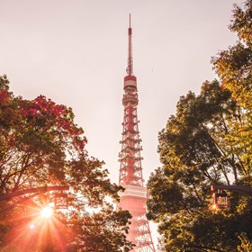 Hiển thị sản phẩm của danh mục Tokyo