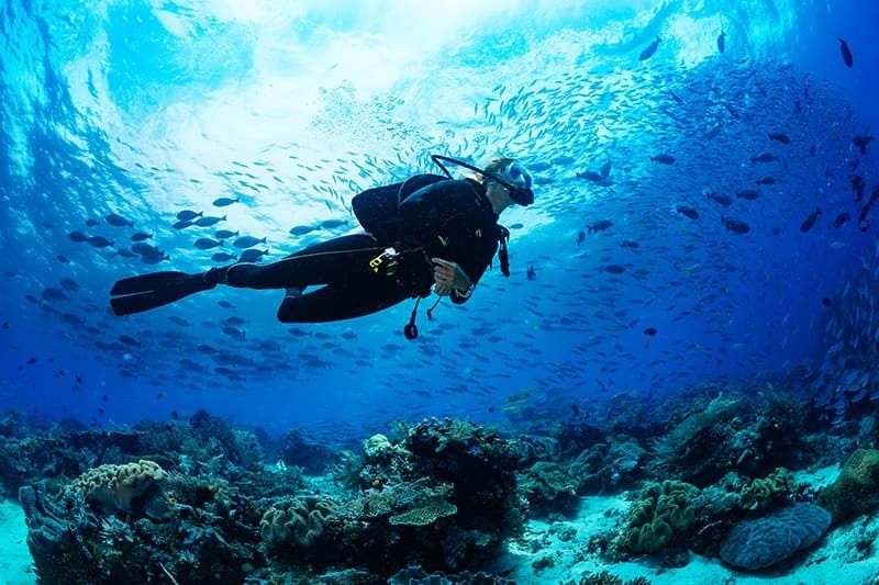Tour Lặn Đêm Nha Trang