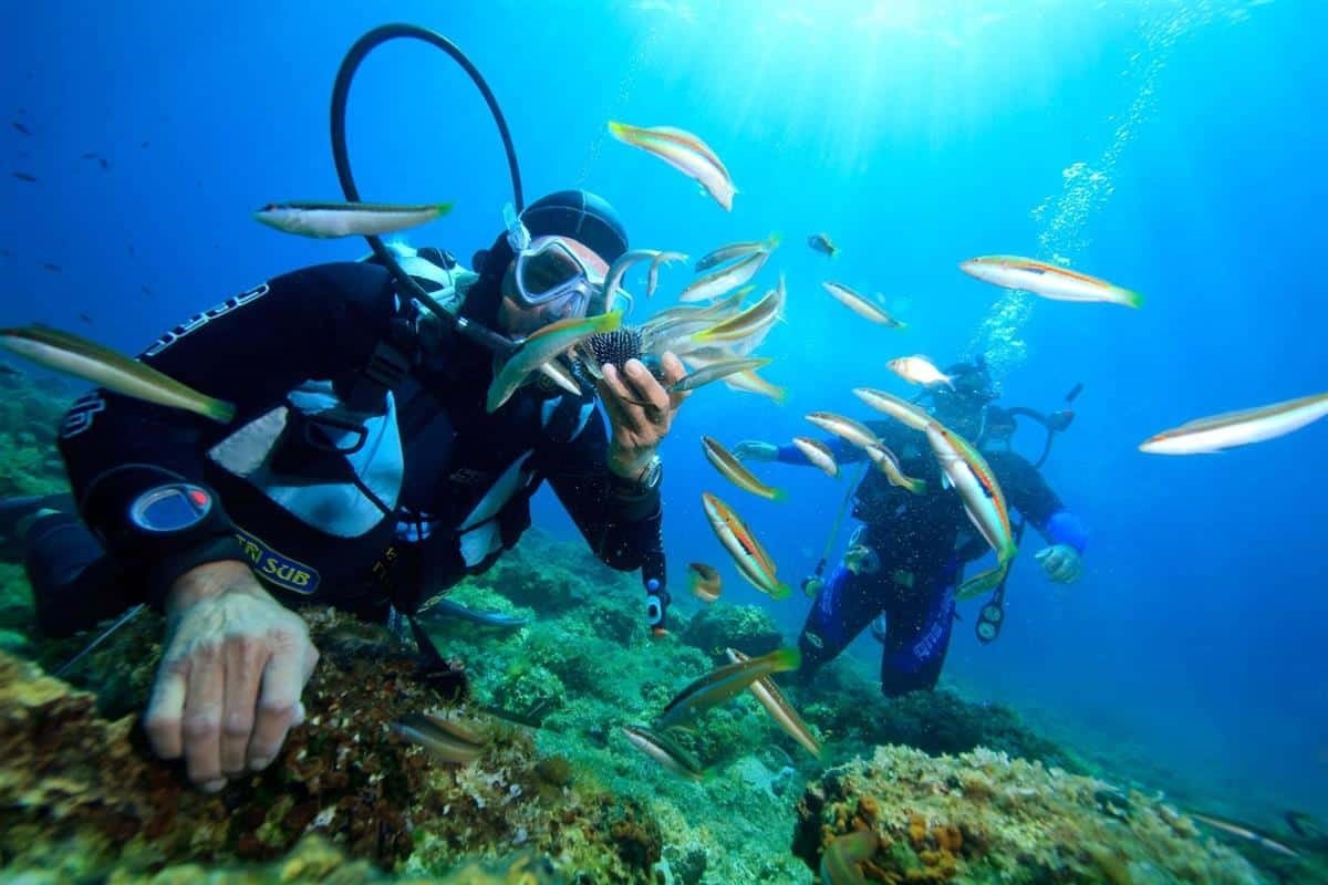 Tour Lặn Đêm Nha Trang