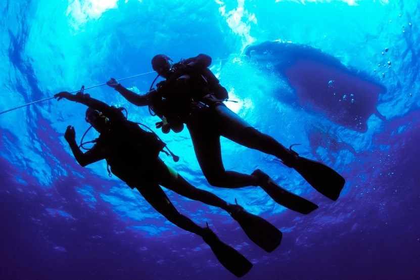 Tour Lặn Đêm Nha Trang