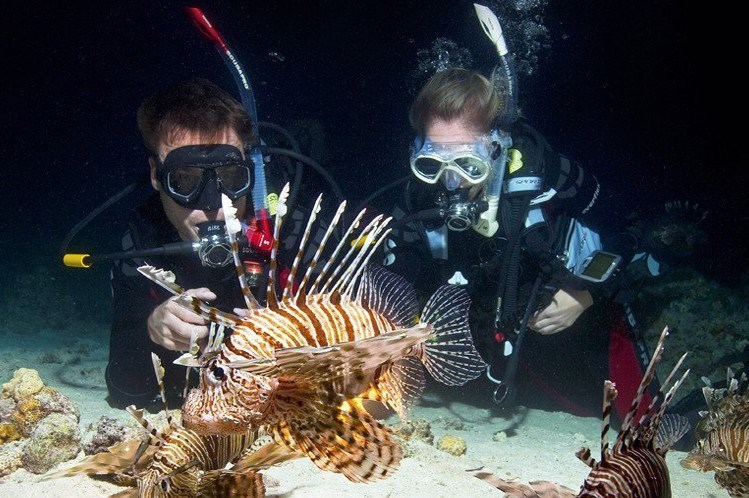 Tour Lặn Đêm Nha Trang