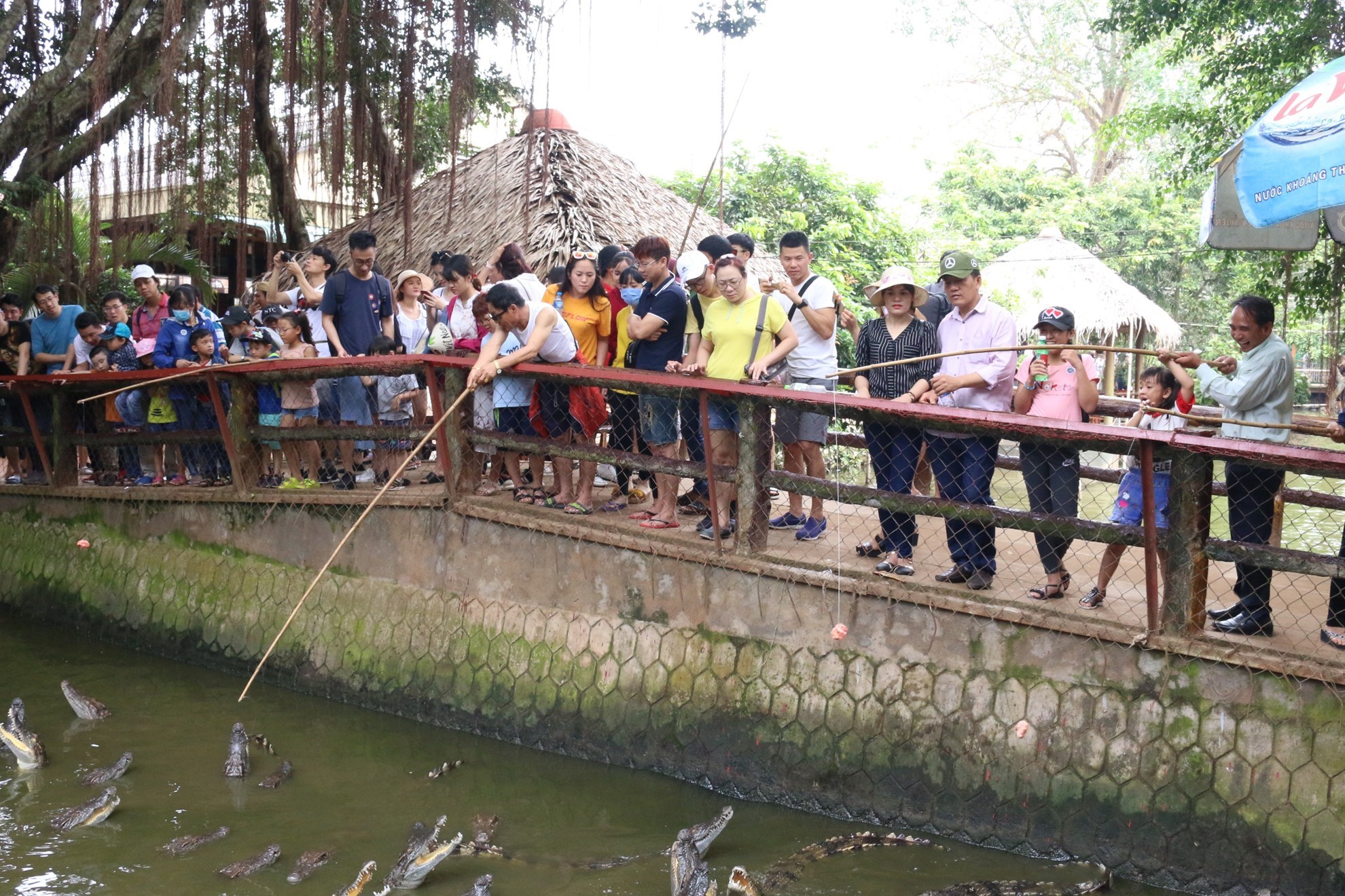 Tour Mỹ Tho - Bến Tre (1 ngày, nhóm nhỏ)