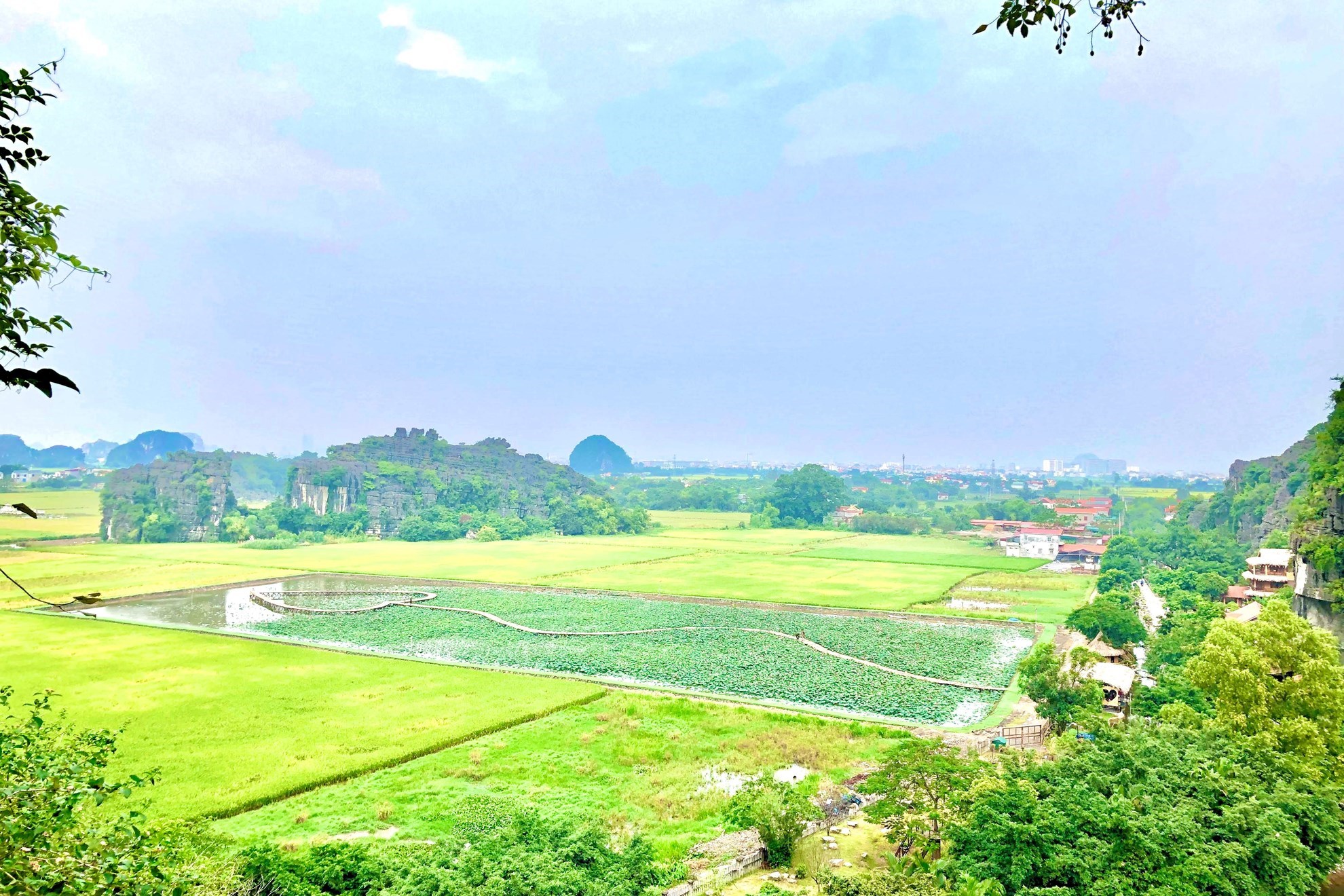 Tour tham quan Hoa Lư - Tam Cốc - Hang Múa (BUS)