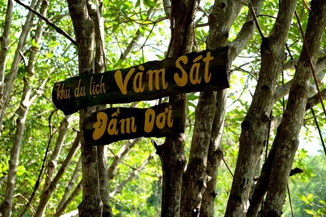 Cần Giờ - Du Ngoạn Cano & Tham Quan KDL Vàm Sát