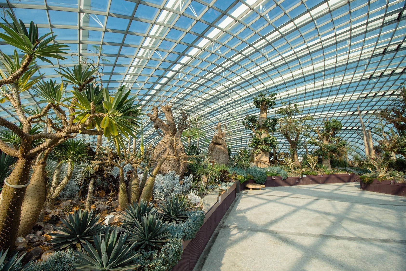 Gardens By The Bay
