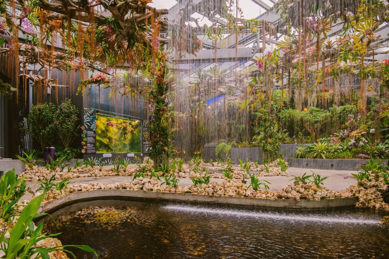 Gardens By The Bay