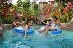 Vé Adventure Cove Waterpark + Dolphin Island