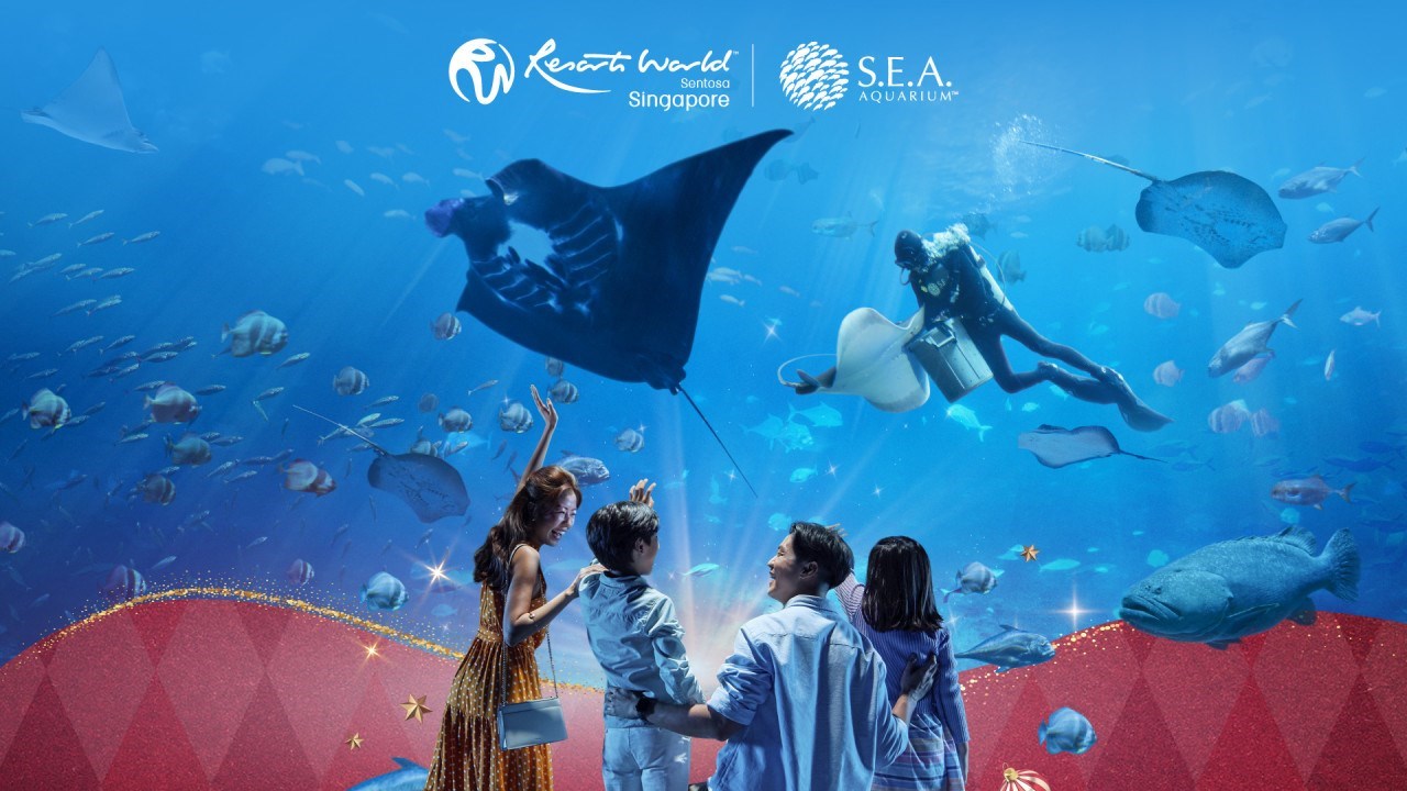 Vé Dolphin Island + S.E.A Aquarium