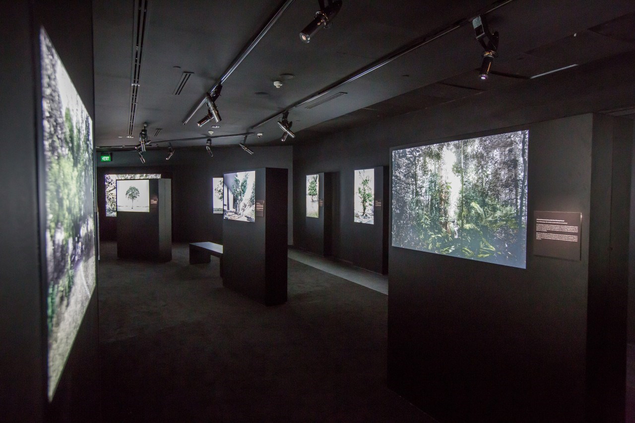 Vé National Museum Singapore