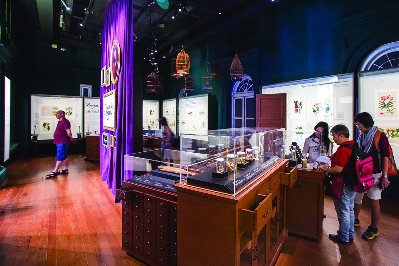 Vé National Museum Singapore