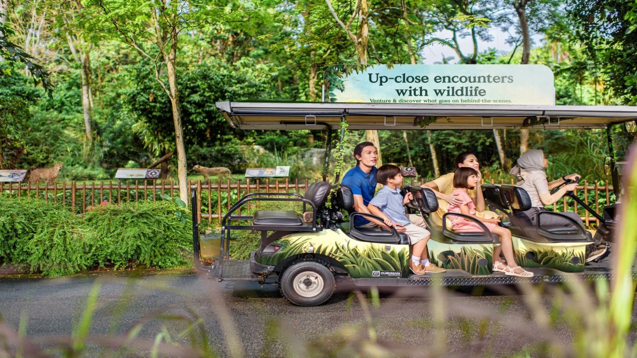 Vé Singapore Zoo
