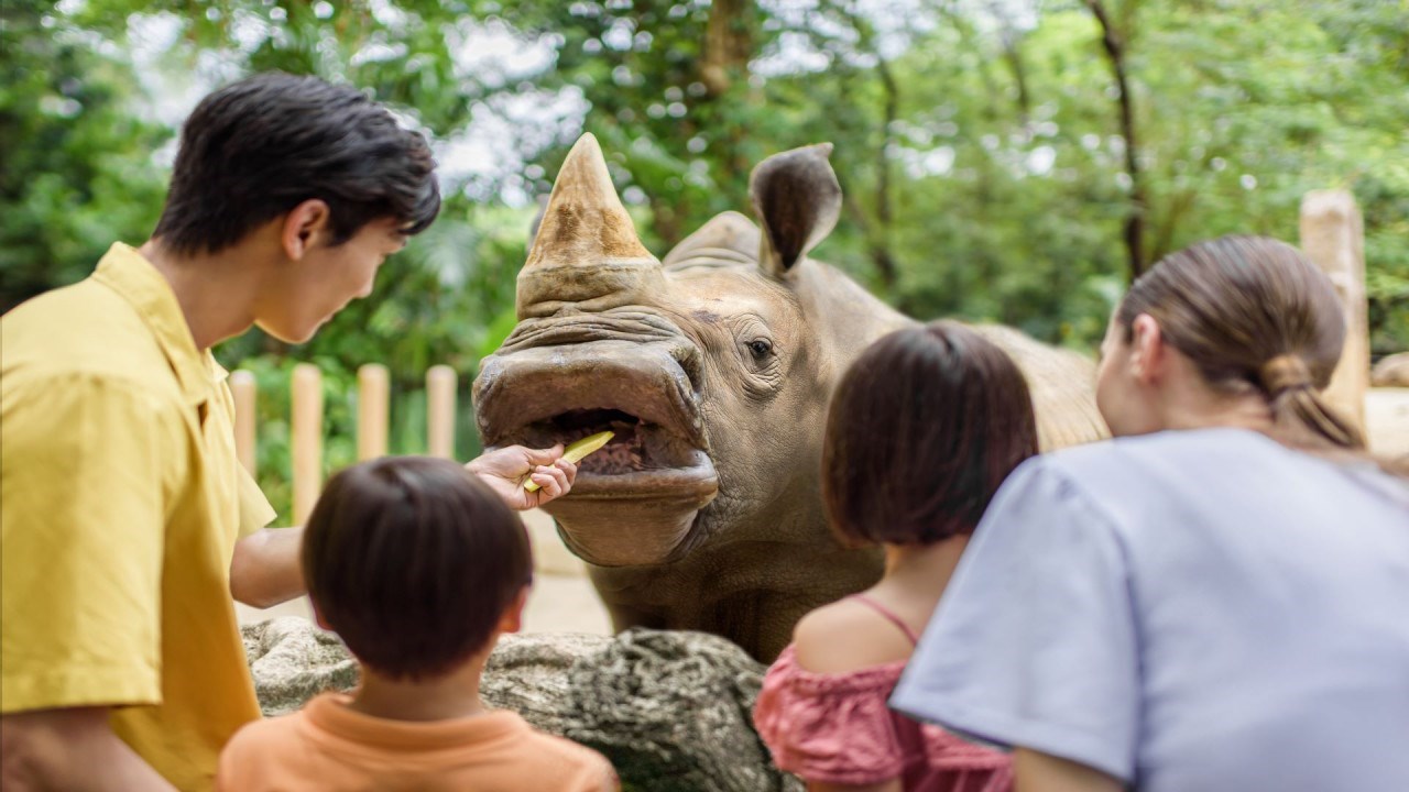 Vé Singapore Zoo
