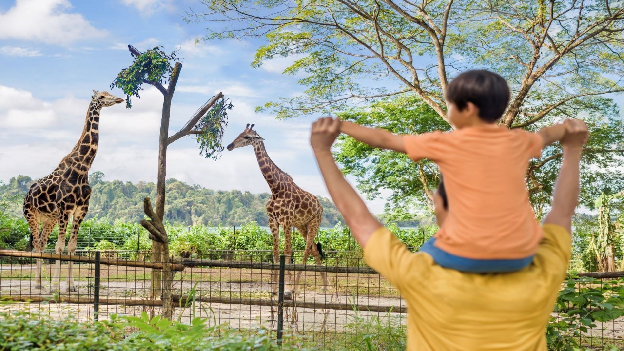 Vé Singapore Zoo