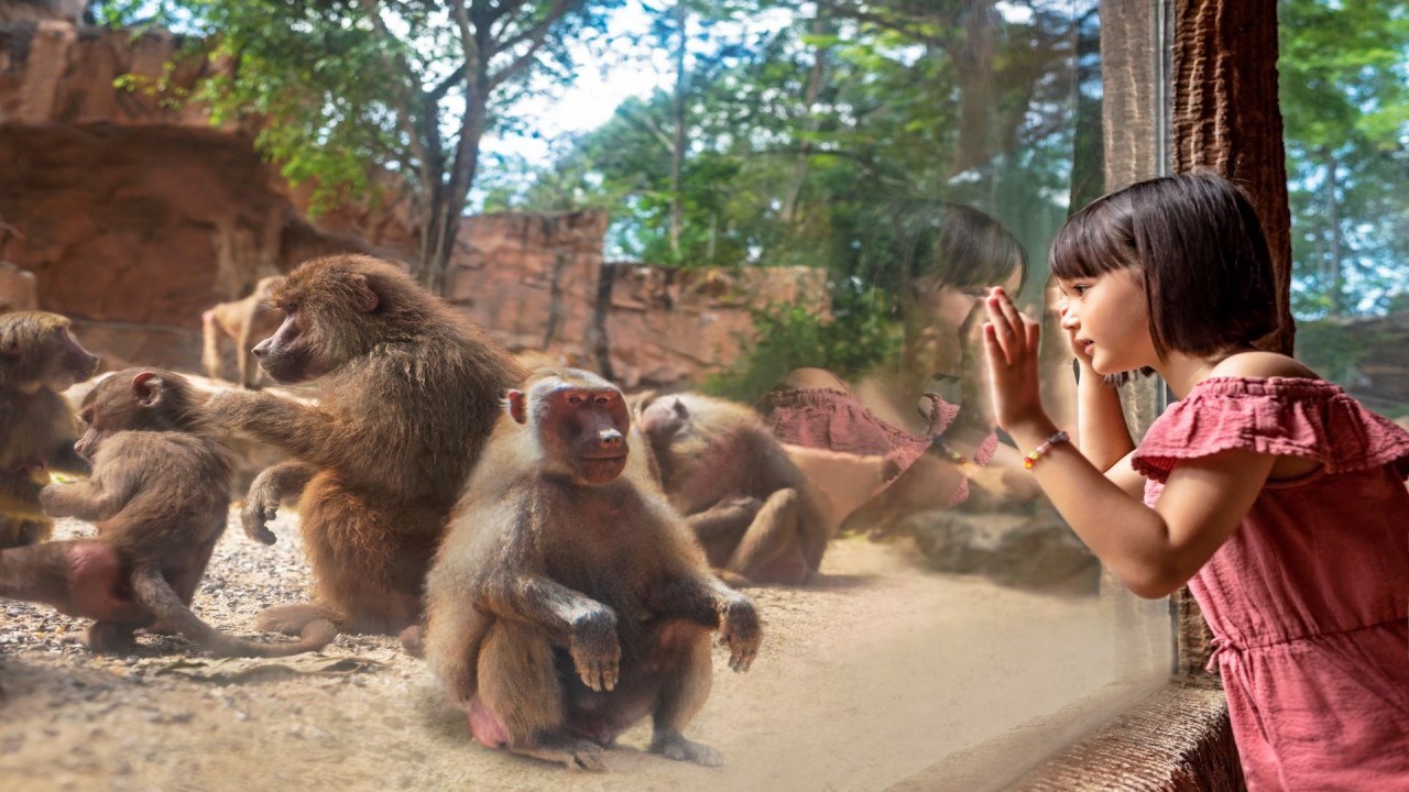 Vé Singapore Zoo