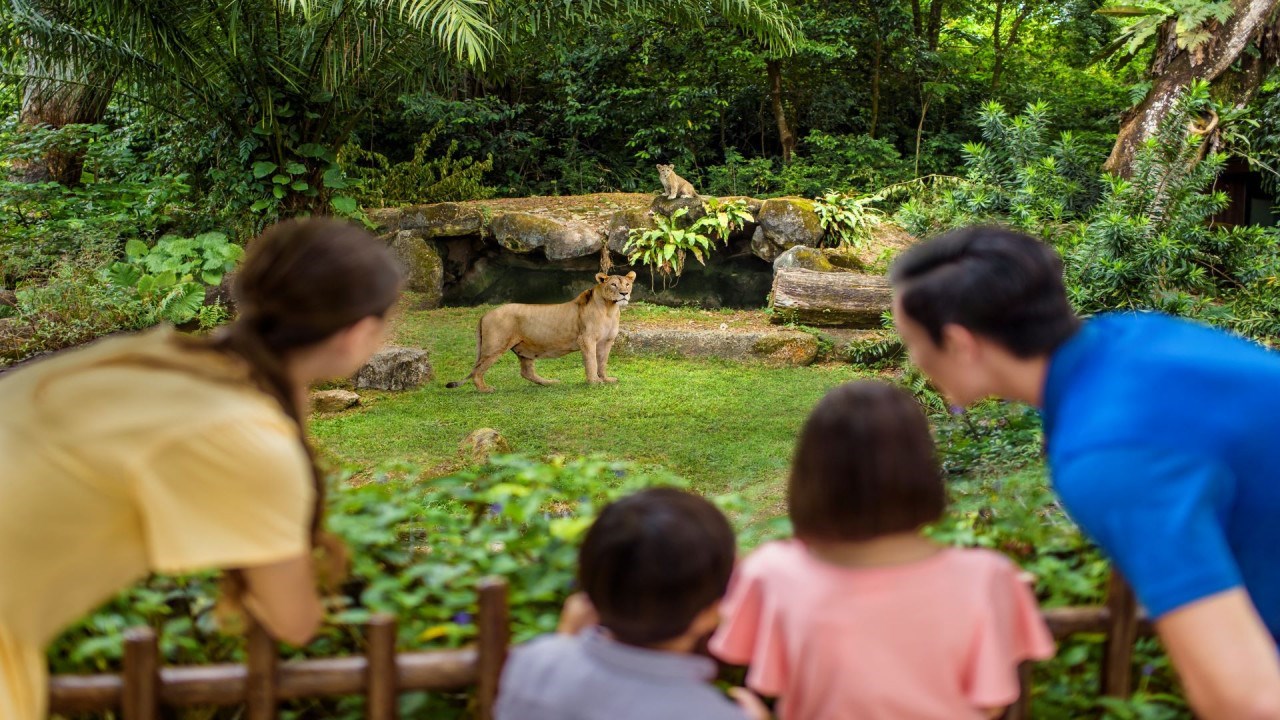 Vé Singapore Zoo
