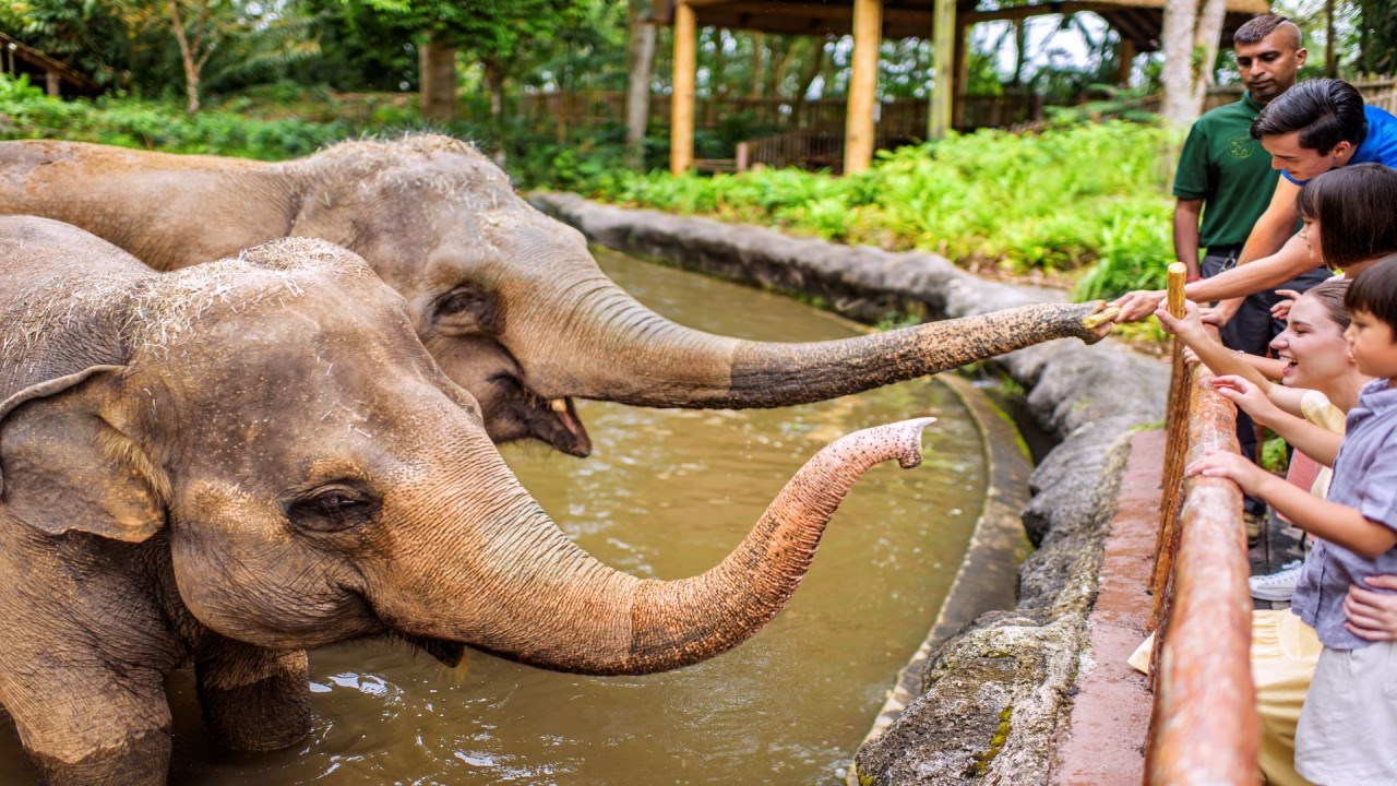 Vé Singapore Zoo