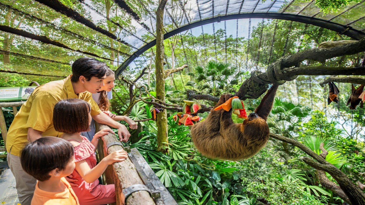 Vé Singapore Zoo