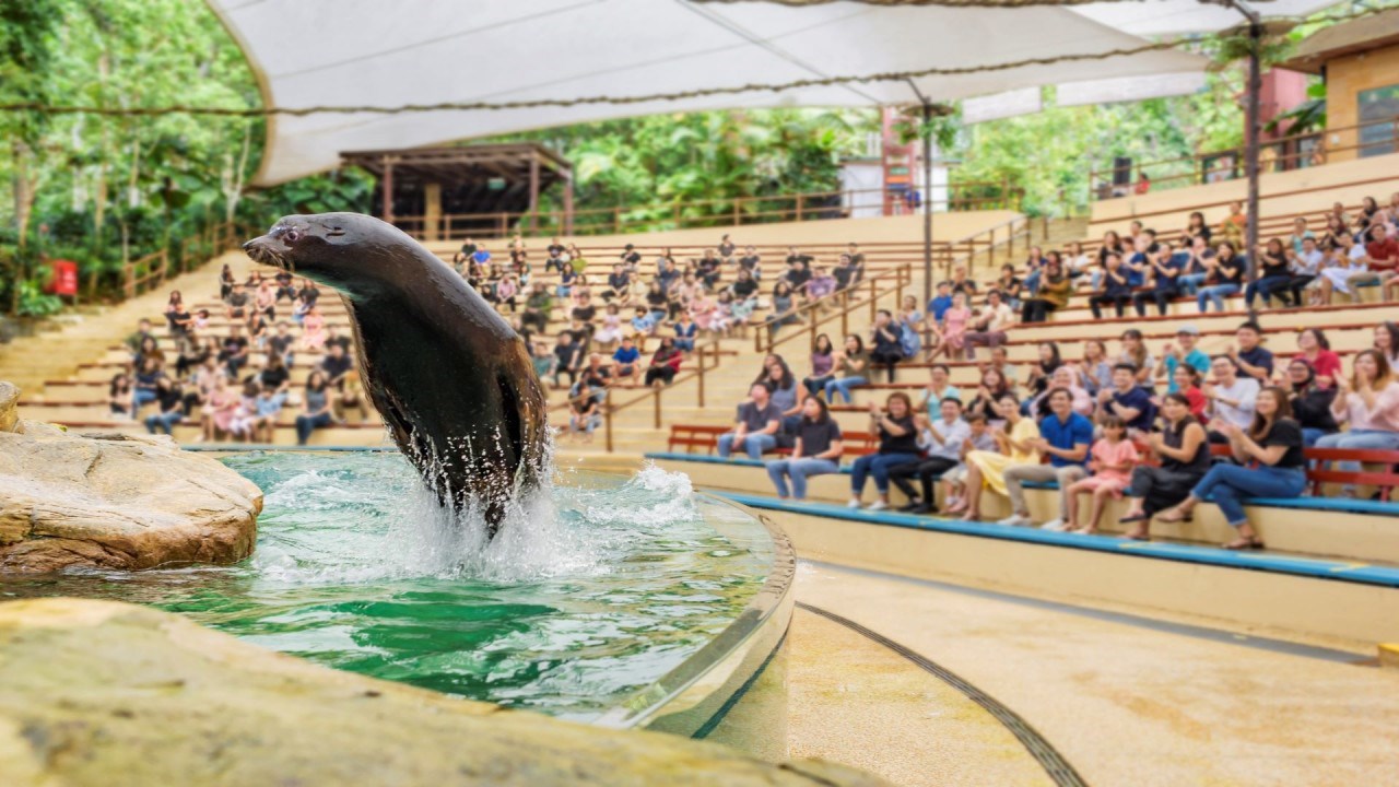 Vé Singapore Zoo