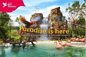 Vé Singapore Bird Paradise