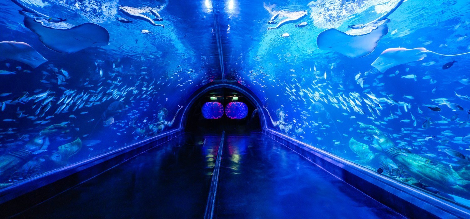 Vé Thủy Cung Aquaria Phuket 