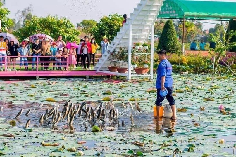 Tour Làng Hoa Sa Đéc -  Quýt Hồng Lai Vung (1N)